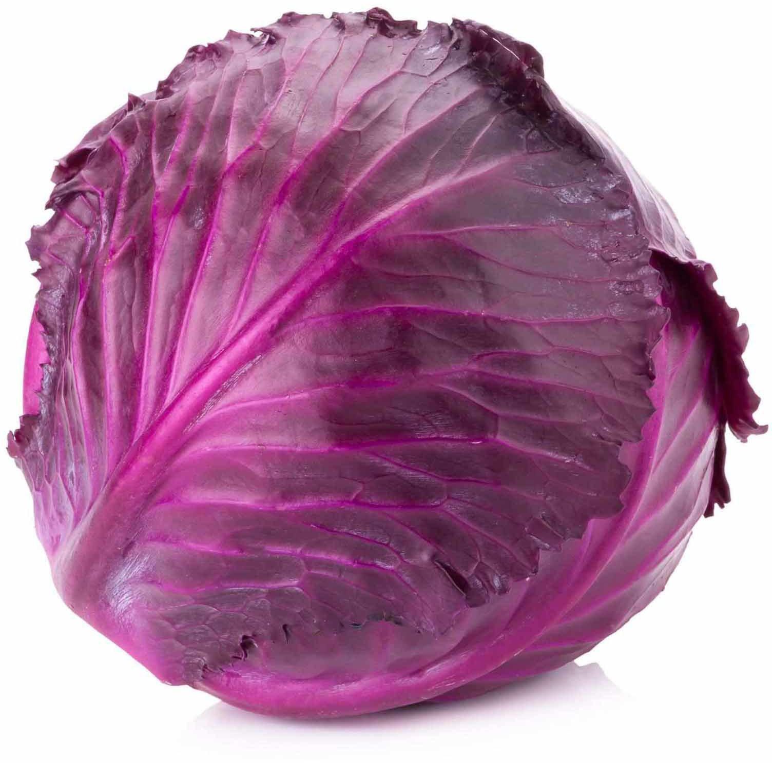 كرنب أحمر - أسعار السوق الحالية وطرق الشراء 2025-12-12