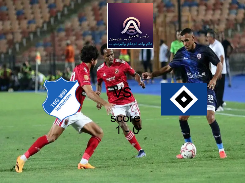 فاز فريق هوفنهايم على فريق هامبورج بنتيجة 1 - 0 في بطولة الدوري الألماني.