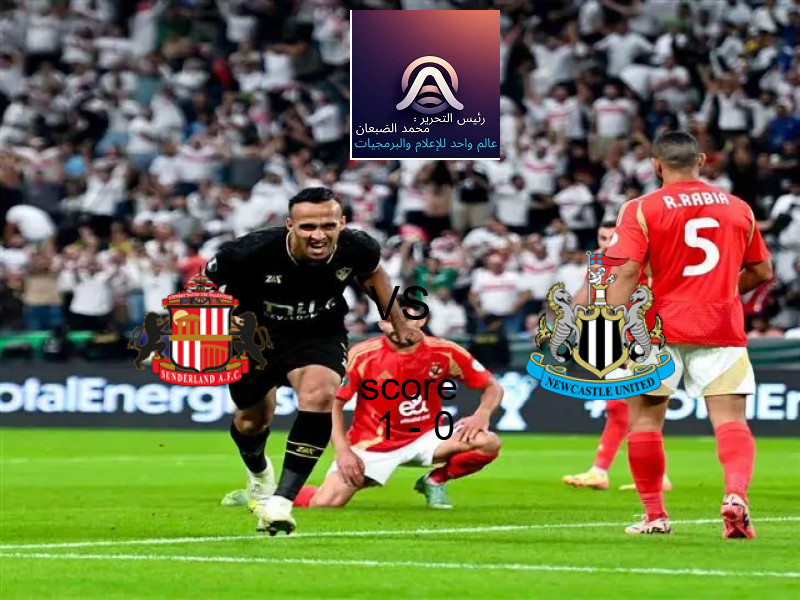 فاز فريق سندرلاند على فريق نيوكاسل بنتيجة 1 - 0 في بطولة الدوري الإنجليزي.