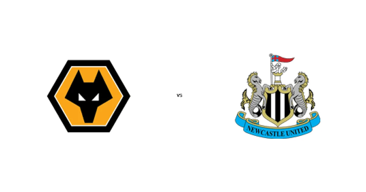 وولفرهامبتون ضد نيوكاسل  على قناة بى ان سبورت 1HD - موعد المباراة 18 يناير 2026