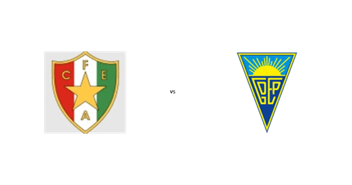 موعد مباراة فيتوريا جيماريش ضد بورتو في الدوري البرتغالي والقنوات الناقلة 18 يناير 2026