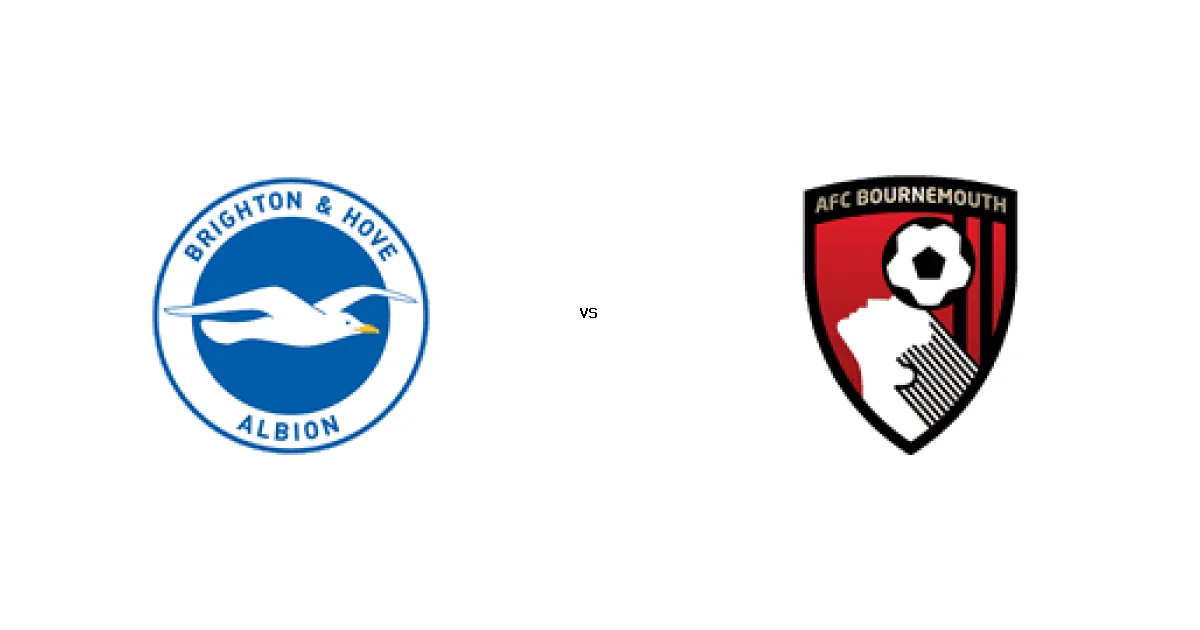 برايتون في مواجهة بورنموث على بى ان سبورت 1HD - التفاصيل الكاملة