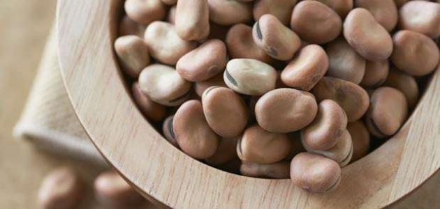 الفول المعبأ - أسعار السوق الحالية وطرق الشراء 2026-01-20