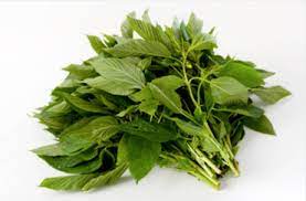 سعر الملوخية اليوم في منافذ تابعة للمحافظة  - أحدث الأسعار والتفاصيل