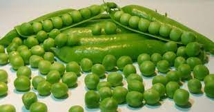 سعر البسلة اليوم في المنافذ التابعة لوزارة الزراعة - أحدث الأسعار والتفاصيل