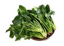 سعر زبدة جاموسي فلاحي اليوم في منافذ خاصة (شوادر) - أحدث الأسعار والتفاصيل