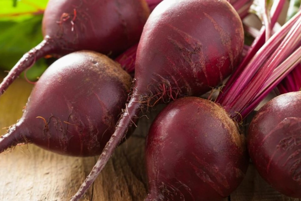 شراء بنجر (كيلو) الآن في المنافذ التابعة لوزارة الزراعة بأفضل سعر 50 جنيه