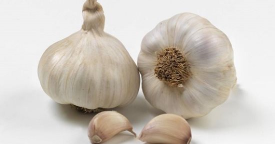 شراء الثوم  البلدي الجديد  الآن في المنافذ التابعة للقوات المسلحة بأفضل سعر 22.5 جنيه