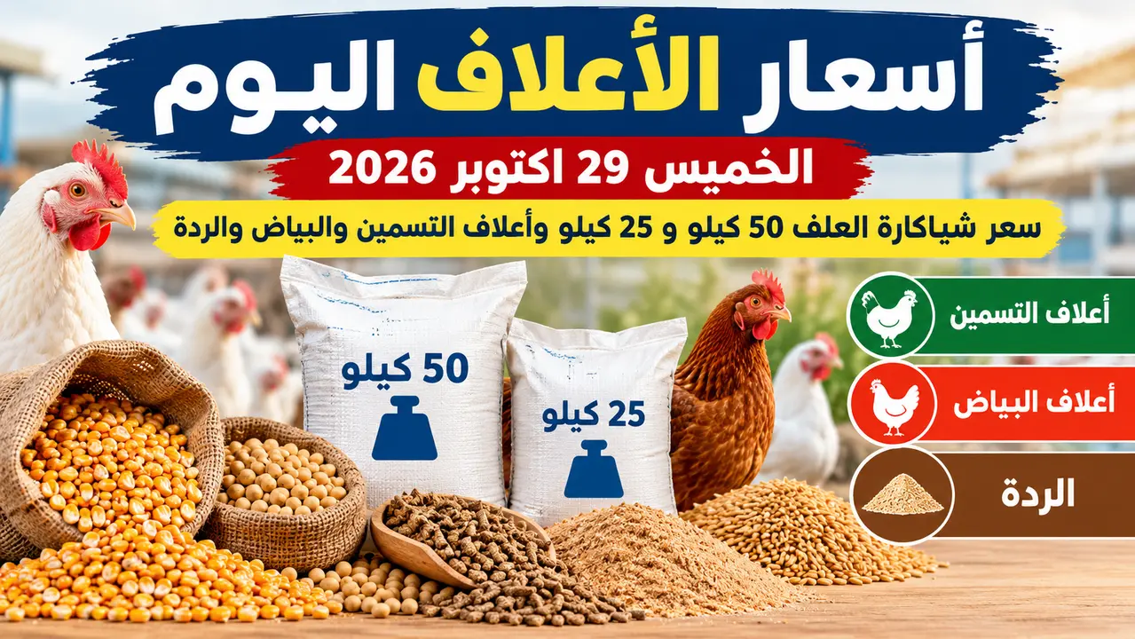 أسعار الأعلاف اليوم الخميس 29 اكتوبر 2026 سعر شيكارة العلف 50 كيلو و 25 كيلو وأعلاف التسمين والبياض والردة