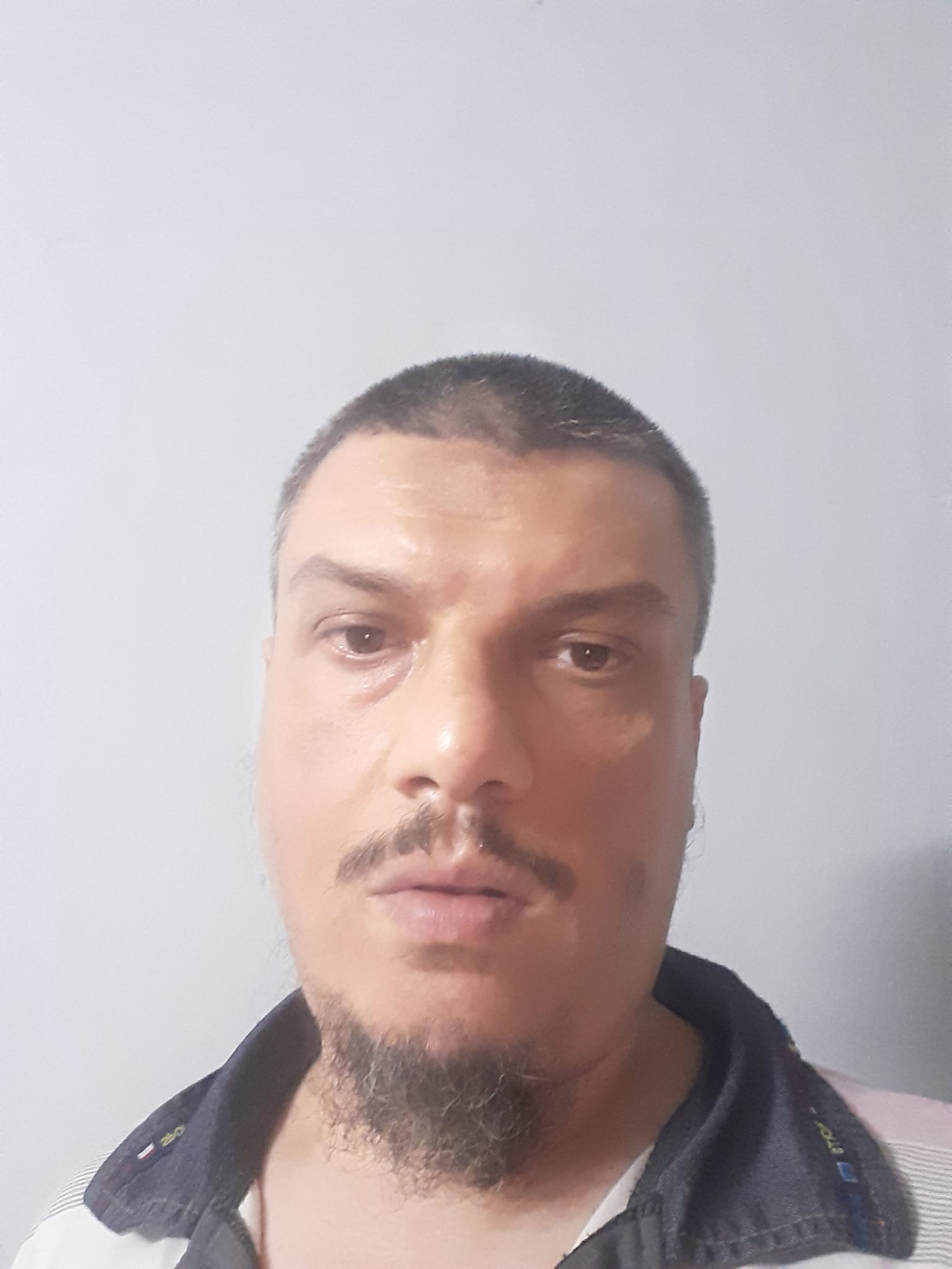 متخصص سيو مبتدئ