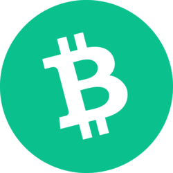 سعر عملة Bitcoin Cash (BCH) اليوم 2026-07-15 17:59:17: دليلك الشامل للاستثمار والتداول