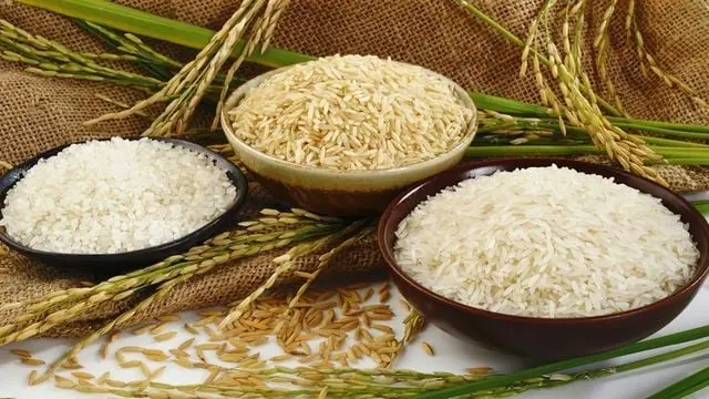 أسعار الأرز الشعير والسائب اليوم في مصر