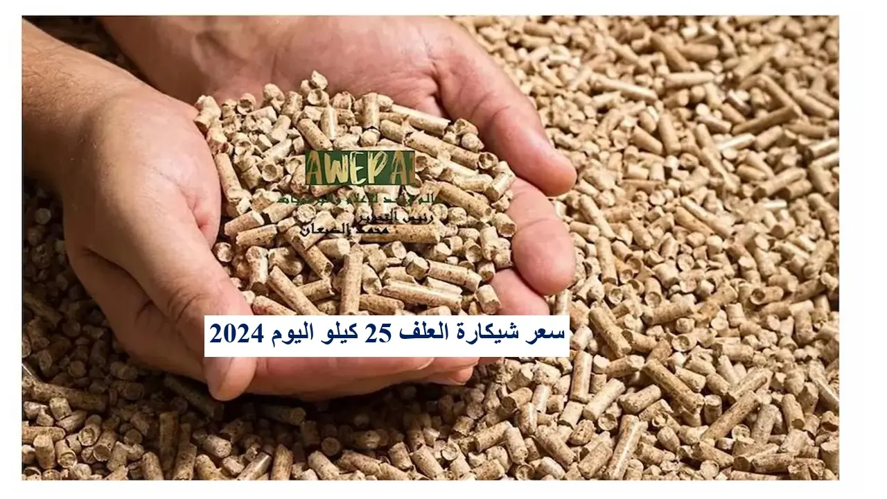 سعر العلف اليوم الإثنين 13 مايو 2024 .. بكام شيكارة العلف 50 كيلو أرض المصنع